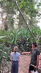 IMG_5233
