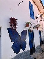 IMG_5318