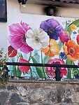 IMG_5330