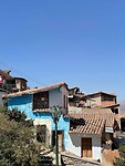 IMG_5335