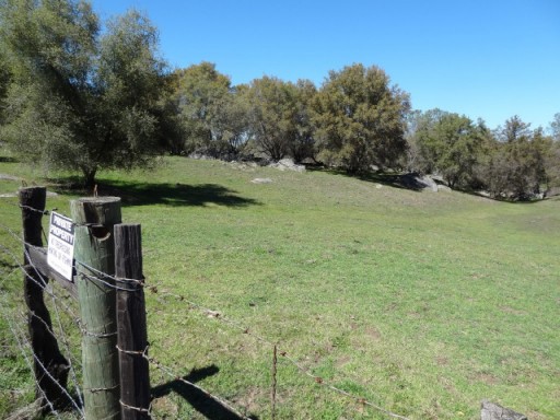 DSC00452 (Medium)