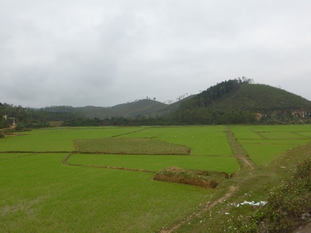 P1020490