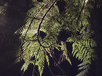 P6080127