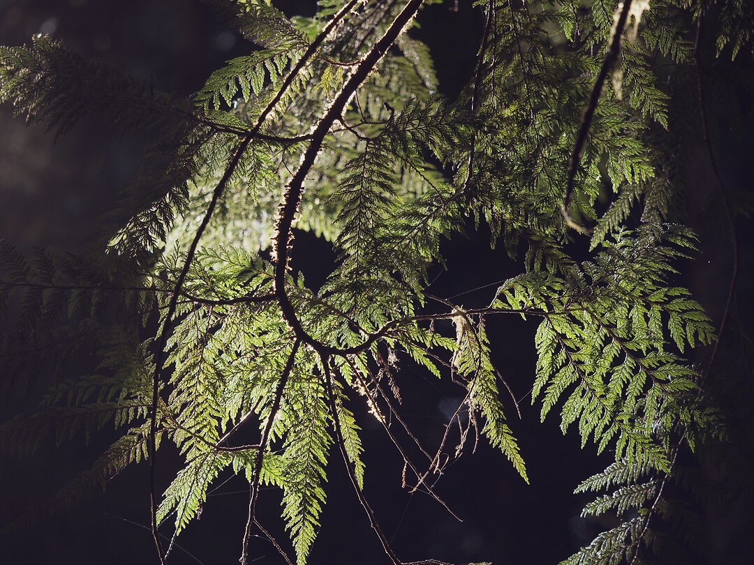 P6080127
