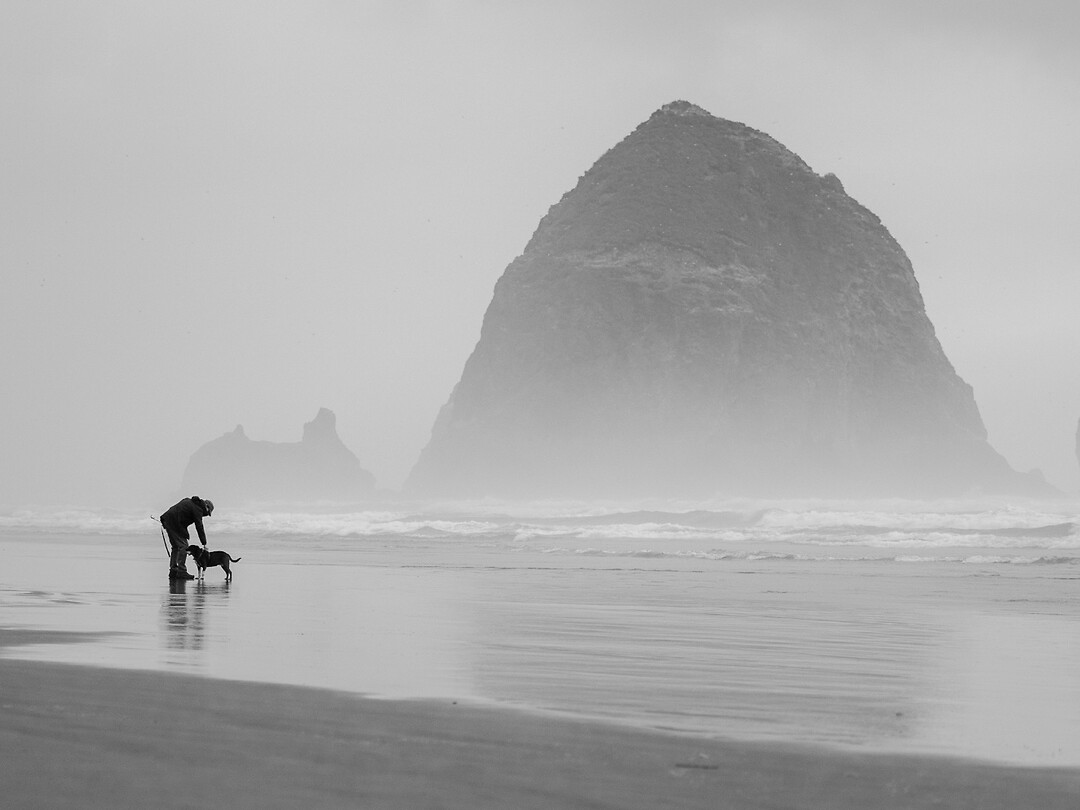 P6100587
