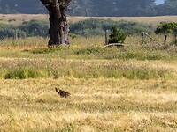 P6141219