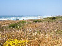 P6130596