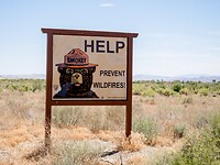 P6190494