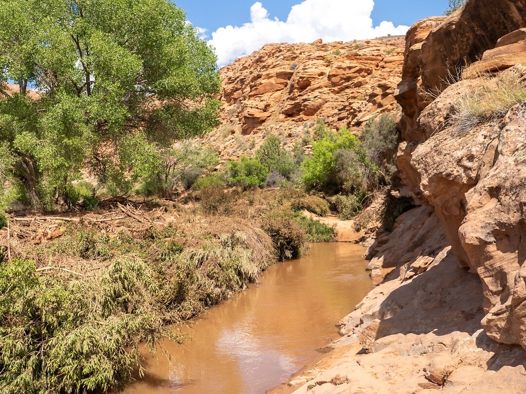 P6230157