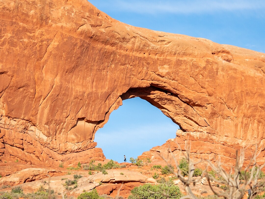 P6230147