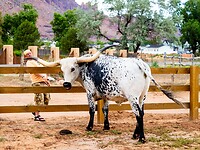 P6240213