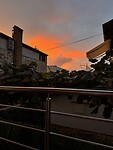 IMG_5890