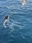 IMG_5949