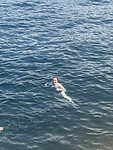 IMG_5940