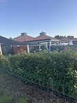 IMG_6010