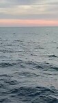 Video van WhatsApp op 2025-09-07 om 20.54.35_4042f761