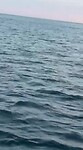 Video van WhatsApp op 2025-09-07 om 20.58.17_973fd5cf