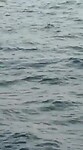 Video van WhatsApp op 2025-09-07 om 20.58.28_5767c7d6