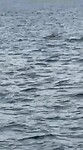 Video van WhatsApp op 2025-09-07 om 20.59.08_2e64c5ad