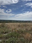 IMG_6224