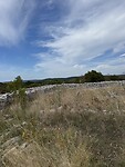 IMG_6222