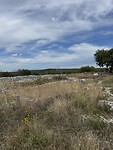 IMG_6223