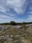 IMG_6221