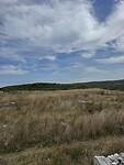 IMG_6219