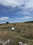 IMG_6218