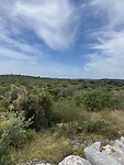 IMG_6217