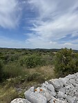 IMG_6216