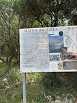IMG_6214
