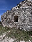 IMG_6203