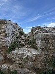 IMG_6182