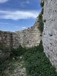 IMG_6181