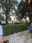 IMG_6305