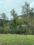 bb498d90-dd85-4539-85cb-cfb976b11267
