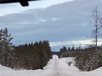 20190212_153318(0)