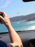 Heli
