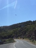 Helicopter