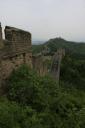 _MG_7433-550
