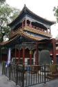 _MG_7501-550