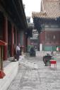 _MG_7523-550