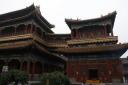 _MG_7536-550