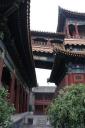 _MG_7541-550