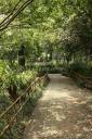 _MG_7748-550