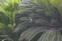 _MG_7780-550