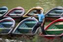 _MG_7810-550