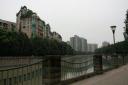 _MG_7950-550