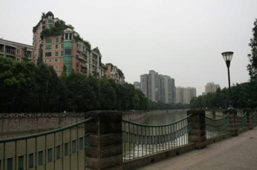 _MG_7950-550